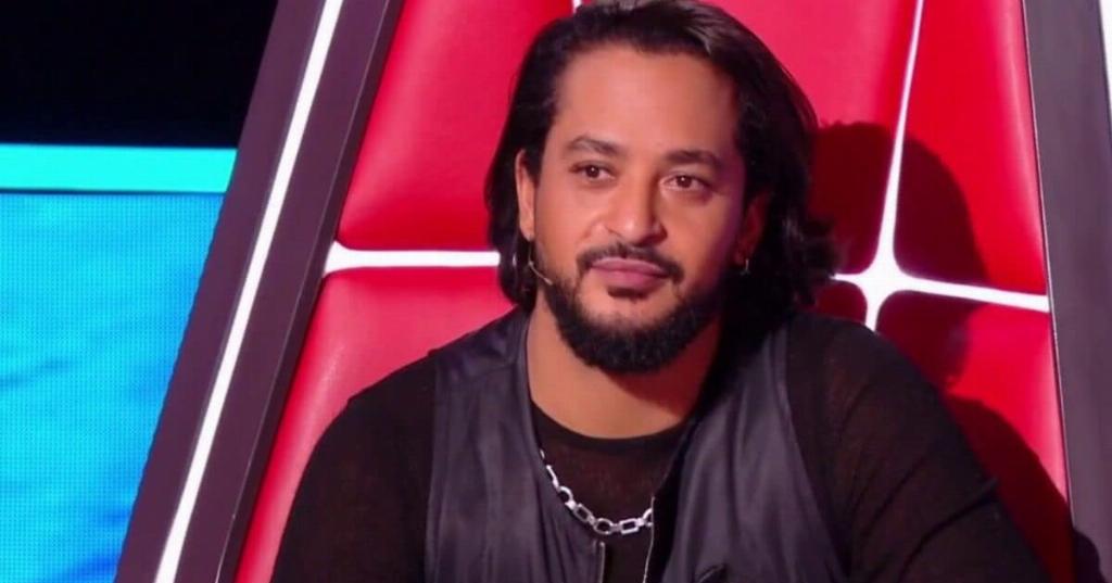 The Voice dans la tourmente : ce jury de l’émission en plein scandale